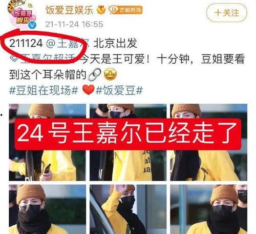 爱豆最新爆料视频,幕后故事与心路历程大公开  第2张